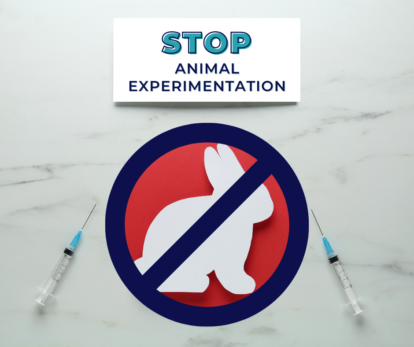 Nine things we can all do to help stop animal experimentation - Ethical  Globe