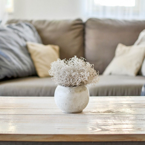 sustainable furniture UK, eco furniture, vegan home décor, vegan home accessories, vegan soft furnishings, ethical superstore, ethical décor, sustainable home accessories, ethical consumer