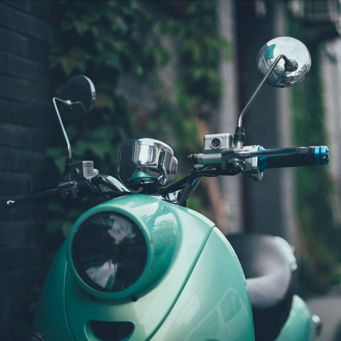 sustainable tourism, sustainable travel, ethical travel, vegan travel, vegan cruises, vegan retreats, eco retreats