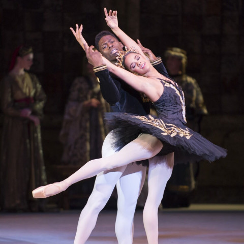 vegan buzz, vegan meet-ups, vegan games night, vegan nights, vegan markets, vegfest, plant-based entertainment