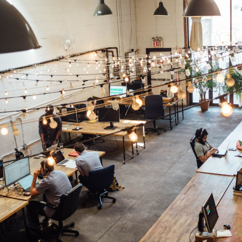 ethical businesses, sustainable businesses, ethical business network, service businesses,service providers,  vegan careers, ethical consumer