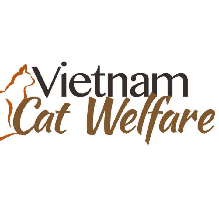 Vietnam Cat Welfare