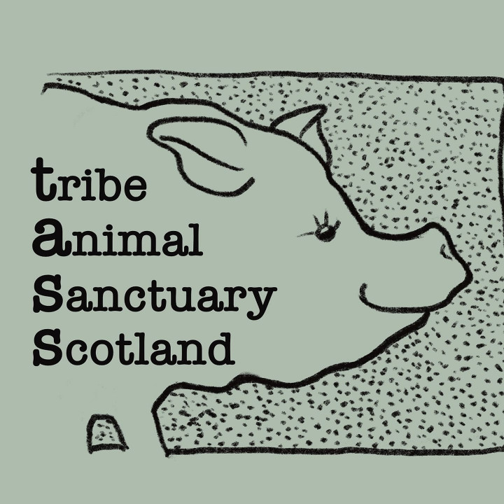 Tribe Animal Sanctuary Scotland