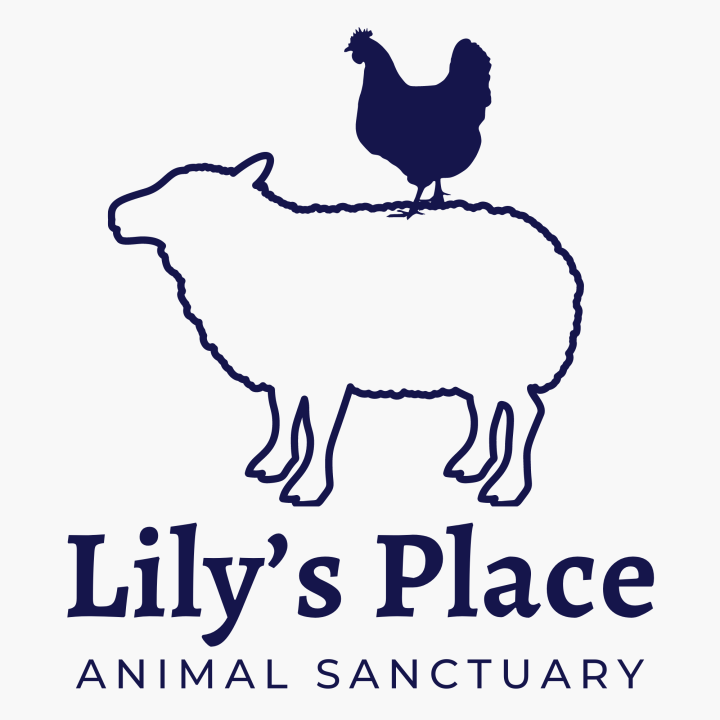 Lily's Place Animal Sanctuary