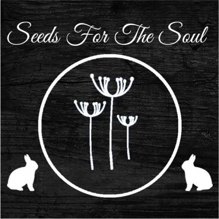 Seeds For The Soul Ltd