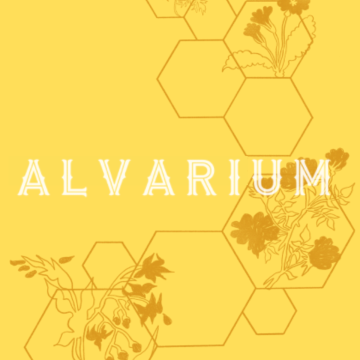 Alvarium & Black Leaf