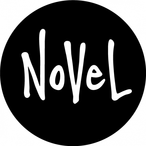 Novel Notes