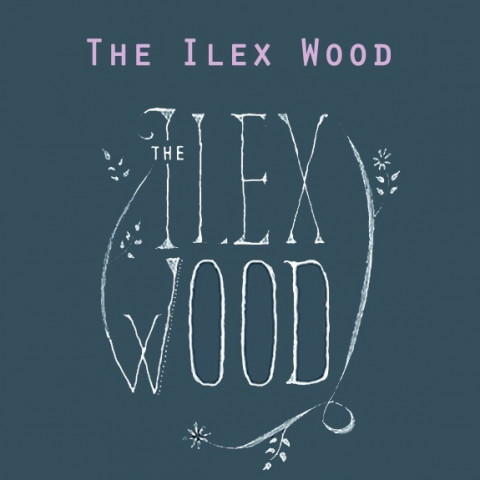 The Ilex Wood