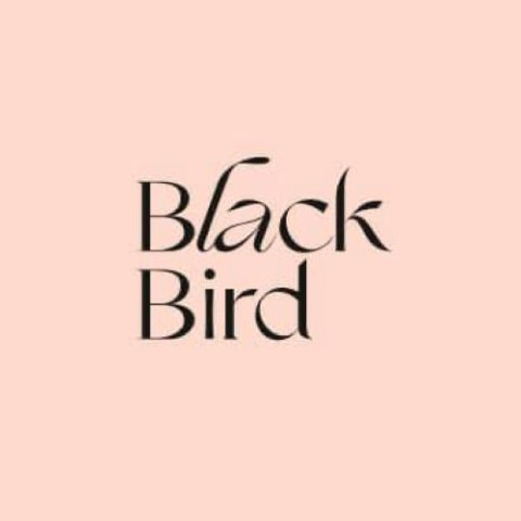 Blackbird