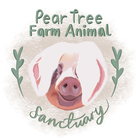 Pear Tree Farm Animal Sanctuary