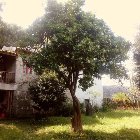 BuddhaBliss Sanctuary