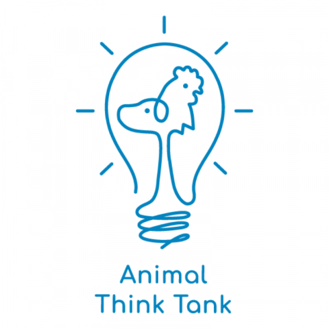 Animal Think Tank