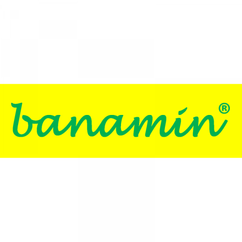 Banamin Healthcare LLP