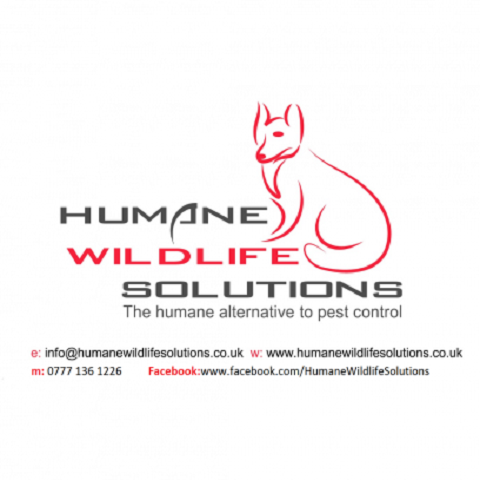 Humane Wildlife Solutions