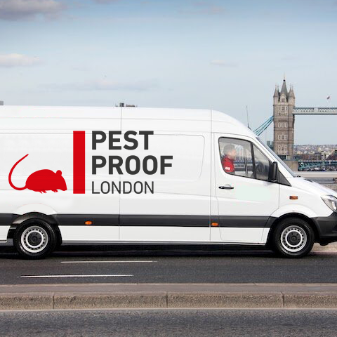 Pest Proof London