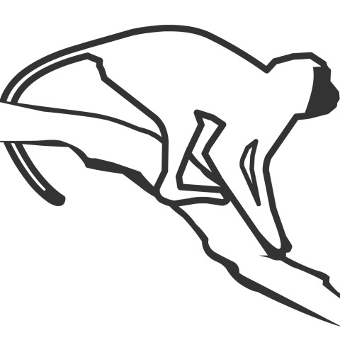 Vervet Monkey Foundation